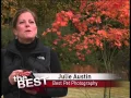 King 5 Best of Western Washington