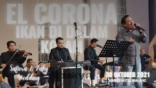 el corona ikan di dalam kolam safiera zaky wedding