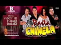 EUTREPCEMIA - (Doenca de gato) - FORRO RASTA CHINELA