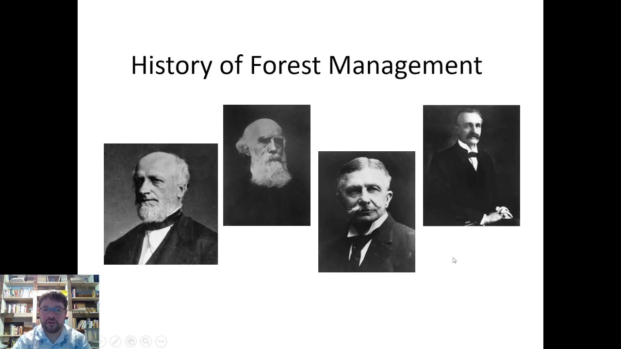History of Forest Management