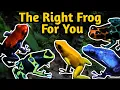 Beginner Poison Dart Frogs - Species Overview and Selection Guide