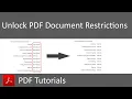 Disable Document Restrictions in PDF