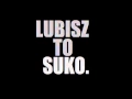 Download Lagu Fokus - Lubisz to (Hardcore remix)