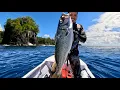 Big Fish on a Small Sketchy Boat - Hawaii Living