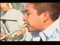 Sekta Core - Delfino