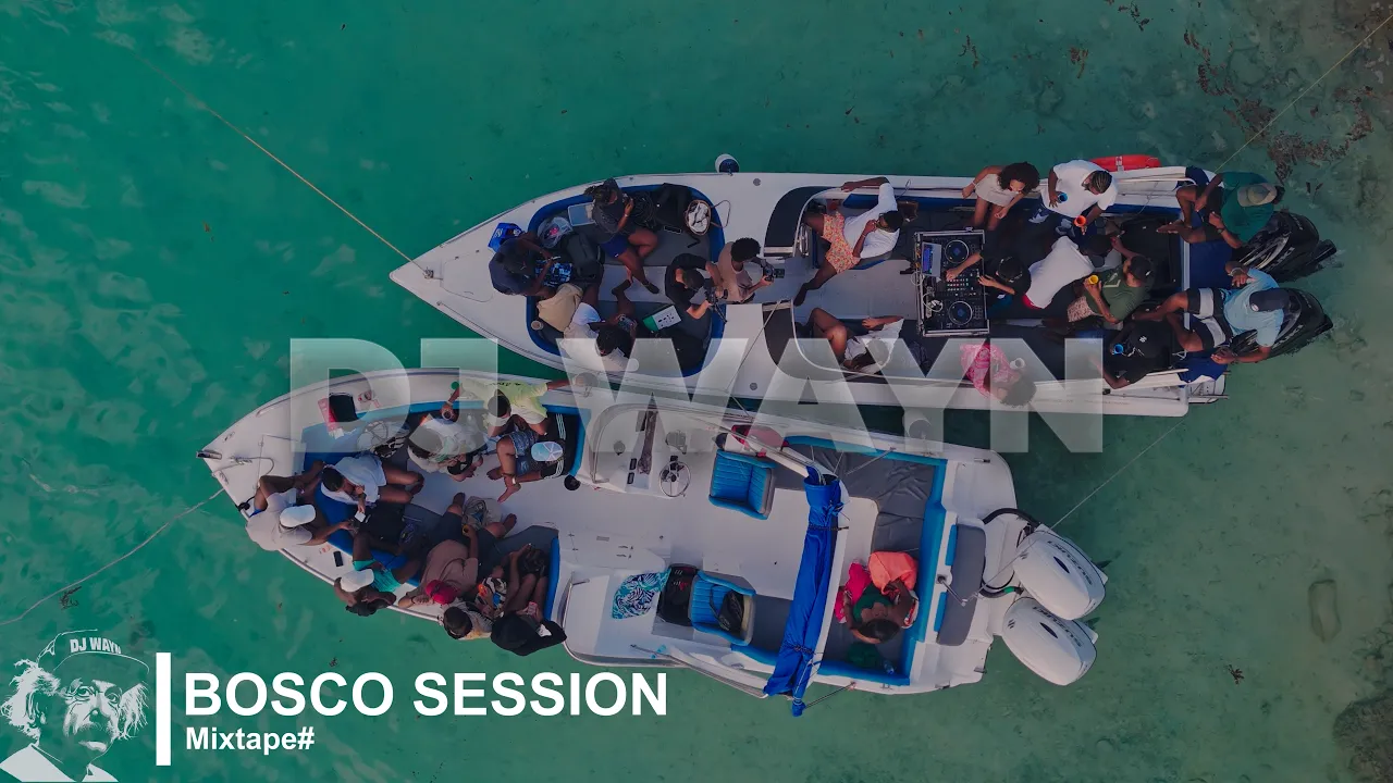 DJ Wayn - BOSCO SESSION ππ₯ | Mauritius Party Mix, cover art