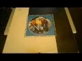 Download Lagu JOE PUBLIC (LIVE AND LEARN) PRIVATE DUB