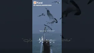 اغنية ويابخته اللى يسيبها على الله فيديوهات جميلة 
