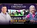 Meet Sylvia Hammarstrom Master Breeder of Skansen Giant Schnauzers