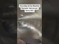 Download Lagu Malahat Skywalk Slide, Vancouver Island, BC