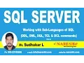 Working with Sub Languages of SQL - Part 2 MSSQL Training