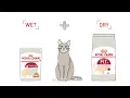 Royal Canin Mix Feeding for Cat