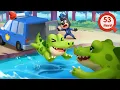 Download Lagu Jangan Membawa Hewan Liar Pulang🐊| Tips Keamanan | Main Aman | Kartun Anak | Kepala Polisi Labrador