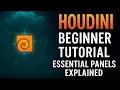 Houdini Interface Explained Viewport Nodes Parameters Essential Panels
