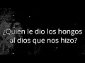 HONGOS - RICARDO ARJONA