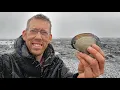 Camping Fishing Clamming in a Snow Storm - Coastal Foraging in Alaska