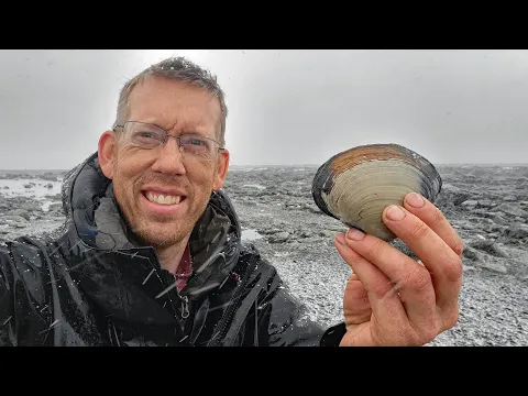 Camping, Fishing \u0026 Clamming in a Snow Storm - Coastal Foraging in Alaska