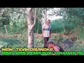 Download Lagu Ternyata mbah aris punya tanaman yang belum pernah terexspos
