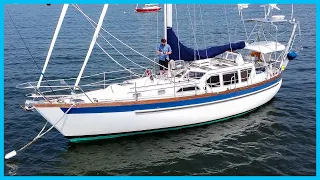 Is This the PERFECT Family Cruiser That Doesn’t Break the Bank? [Full Tour] Learning the Lines