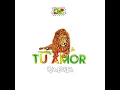 Tu Amor - Kameleba