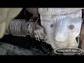 DD15 engine egr actuator mechanical movement inspection good and bad actuator