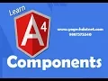 how to create multiple components in angular 4 Lecture 6
