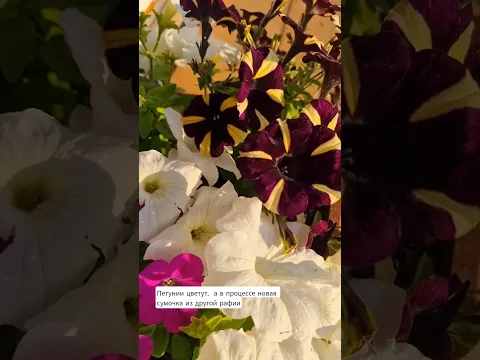 Новая сумочка из рафии 💮