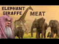 Is it permissible to eat Elephant Giraffe meat assim al hakeem