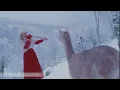 ANCIENT WILLOW FLUTE ⼁Winter Wonderland ⼁Alpaca
