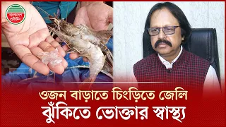 চিংড়িতে জেলি পুশ, বাড়ছে ওজনের সঙ্গে স্বাস্থ্যঝুঁকিও | Shrimp Jelly Injection | Food Safety