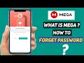 How To Reset Password Of Mega What is Mega Full Explained