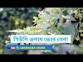 Lagu শিউলি তলায় ভোর বেলা ।।Shiuli Tolay Bhor Belay [Full HD Mp3 Lyrical Song ]