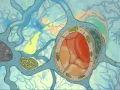 The Blood-brain Barrier in Neurology Psychiatry