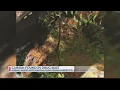 Rusk County man arrested charged with illegal possession of alligator various drugs