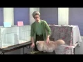 How to show a cat - Getting the cat ready for the judging ring