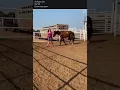 Sapphire s kill pen