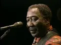 Muddy Waters feat. Johnny Winter - Chicago Fest 1981