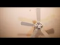 Kids - MGMT | (Student Music Video) [HD]