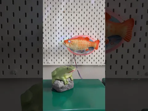 Dilemma 🐟💕🐸