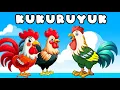 Download Lagu Kukuruyuk - Lagu Anak Anak - Lagu Anak Indonesia