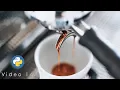 Coffee Machine in Python Object-Oriented Programming Project Part 1