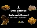 Cannabis Concentrates for Beginners Solventless vs Solvent-Based Extracts