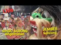Lagu Live seni Jaranan SINGOBARONG singotrunan   live  JEMBER Kencong