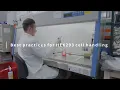 HEK 293 Cell Handling Best Practices