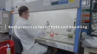 HEK 293 Cell Handling Best Practices