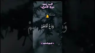 وبشر المؤمنين بأن لهم من الله فضلا كبيرا سورة الأحزاب السيد سعيد 