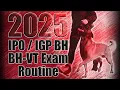 THE NEW schutzhund IPO IGP BH BH-VT Exam Routine 2025 After Rule Change