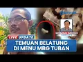 Download Lagu Geger! Video Penampakan Belatung di Dalam Lauk Menu MBG di 2 Sekolah Tambakboyo Tuban Jatim