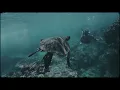 York - On The Beach (Kryder Remix) [Official Music Video]