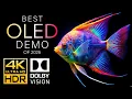 Download Lagu 4K HDR That Redefines Visual Brilliance - Dolby Vision OLED [120FPS]
